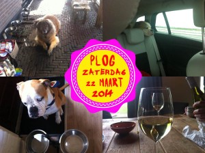 Vorig jaar was Nina voor 1 dagje een boerderijhond...