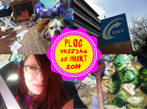 Vorig jaar zaten er rond deze tijd al wél blaadjes aan de bomen...