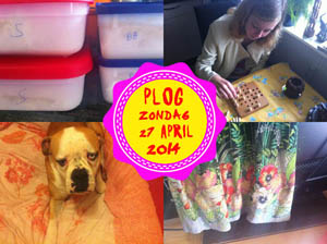 Vorig jaar ging ik op bezoek bij tante Ien...