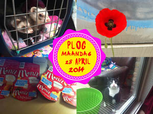 Vorig jaar had ik even een existentiële crisis... 