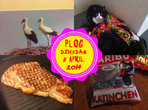 Vorig jaar ging ik met m'n ouders naar het ziekenhuis...