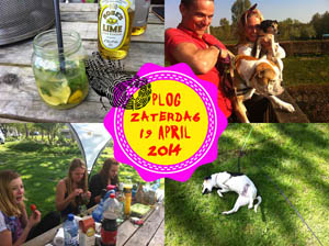 Vorig jaar zat ik op de camping in Almere!