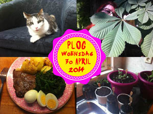 Vorig jaar was ik ook lekker bezig met m'n moestuin...