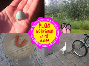 Vorig jaar ging ik naar Buren!