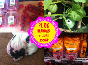 Vorig jaar had ik nog steeds een kater van m'n vrijgezellendag... 