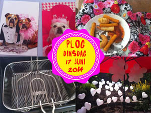 Vorig jaar was m'n laatste dag als vrijgezel!