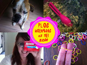 Vorig jaar begon de loombandjes hype...