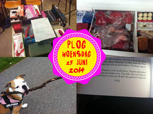 Vorig jaar gaf ik een lezing over seksspeeltjes...