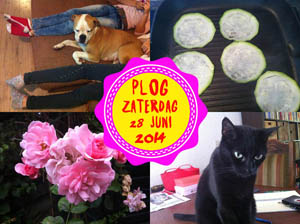 Vorig jaar werd er nog volop geloomd!