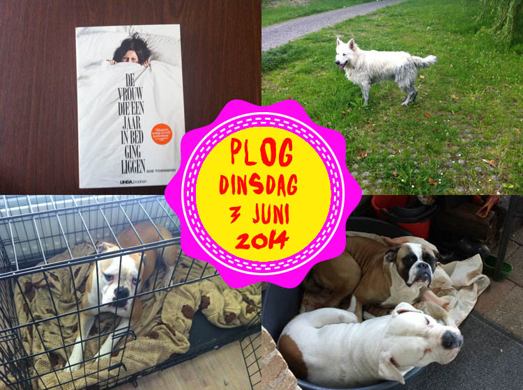 Vorig jaar werd OOK de tuin gesnoeid! Dat is toevallig!