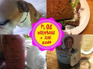 Vorig jaar werd er geloomd...