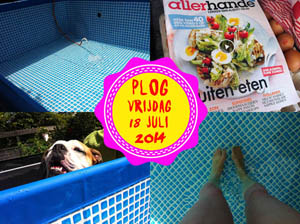 Vorig jaar kreeg ik een zwembad in de tuin (gelukkig is-ie nu alweer weg)...