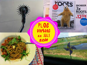 Vorig jaar ging ik naar Utrecht...