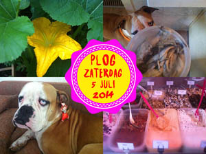 Vorig jaar ging ik naar de markt in Den Bosch...