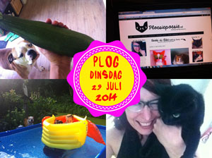 Vorig jaar was ik druk bezig met de Ploesie-site... 