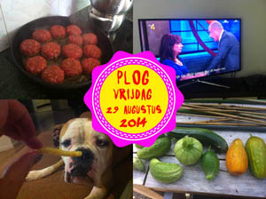 Vorig jaar brak ik de moestuin af en daar zit ik nu ook weer aan te denken...