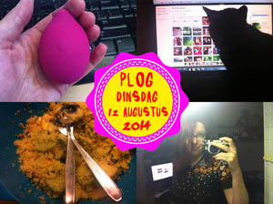 Vorig jaar hadden we last van muggen...