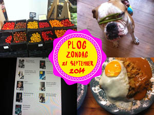 Vorig jaar ging ik bijna op vakantie...