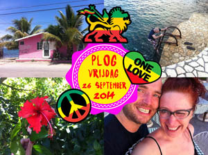 Vorig jaar had ik het allemaal iets beter voor elkaar in Jamaica... 