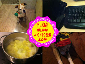 Vorig jaar had ik ook al zo'n moeizame dag...