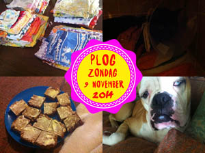 Vorig jaar maakte ik me zorgen om Bruce...