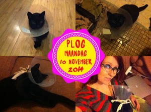 Vorig jaar werd Bruce geopereerd...