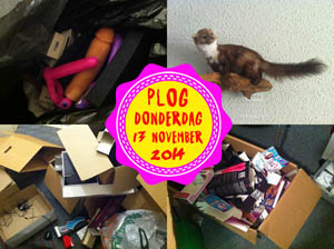 Vorig jaar hield ik een seksspeeltjes-opruiming...