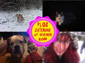 Vorig jaar lag er sneeuw!!!