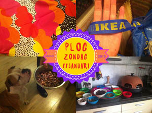 Vorig jaar ging ik naar de IKEA! OMG!