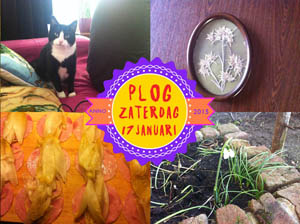 Vorig jaar hadden we het eerste sneeuwvlokje in de tuin...