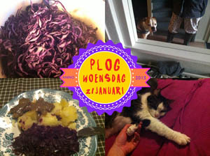 Vorig jaar at ik rode kool...