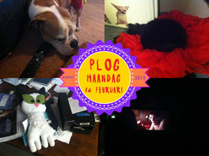 Vorig jaar aten we pizza!