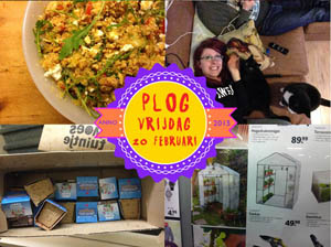 Vorig jaar maakte ik een quinoa-salade (gatverdamme)...