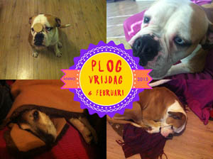 Vorig jaar waren Roelie en Nigel er!